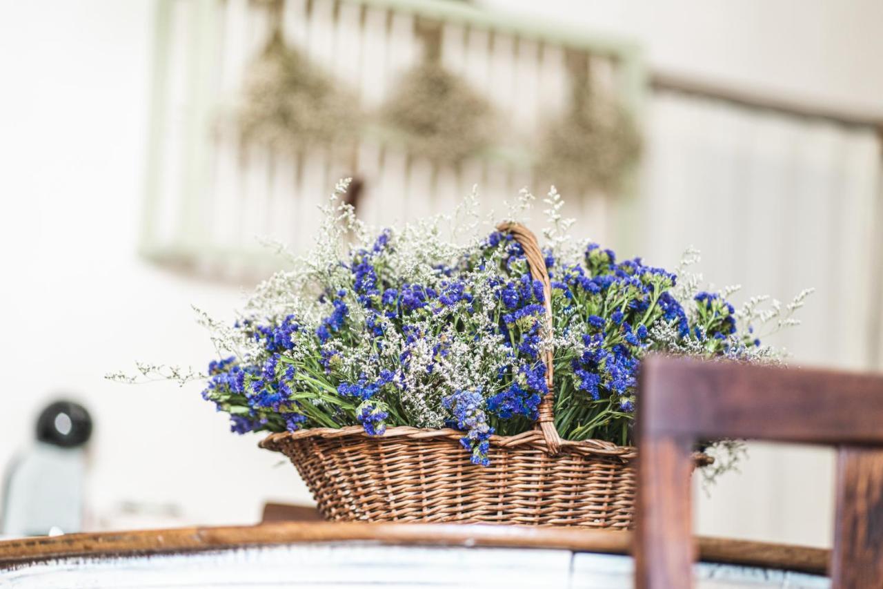 Borgo dei Gatti Hotel Golferenzo Esterno foto